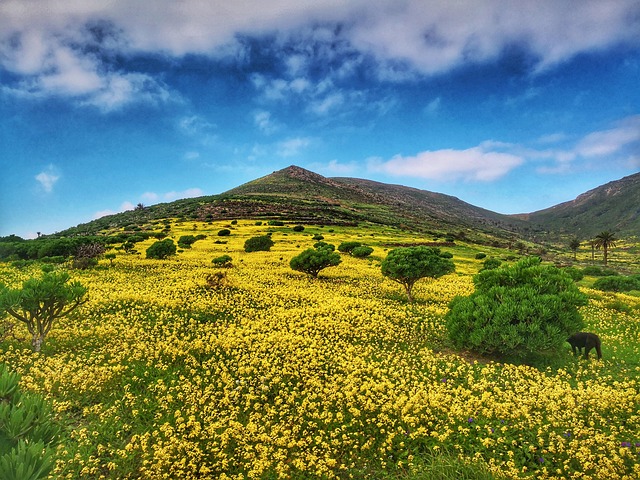 Lanzarote: Your Comprehensive Guide to the Island's Unique Attractions and Natural Wonders