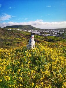 Lanzarote Travel Guide: Navigate the Island's Unique Landscapes, Culture, and Hidden Gems